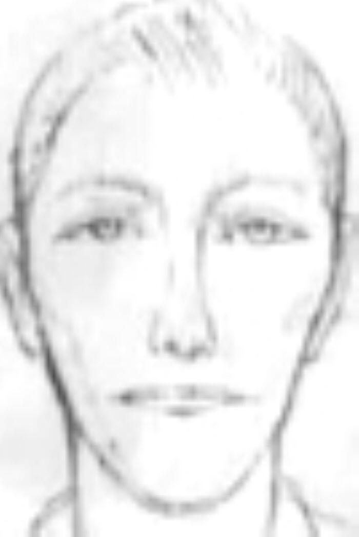 Police sketch of the suspect as described by eyewitnesses