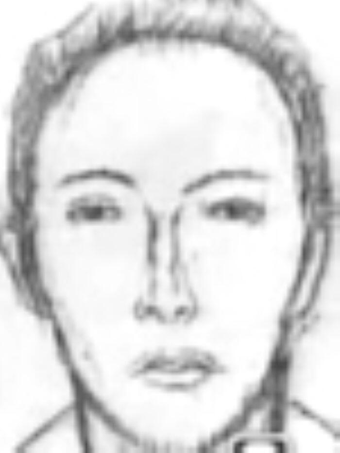 Police sketch of the suspect as described by eyewitnesses